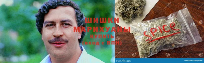 МАРИХУАНА White Widow  МЕГА зеркало  Новосиль  как найти закладки 